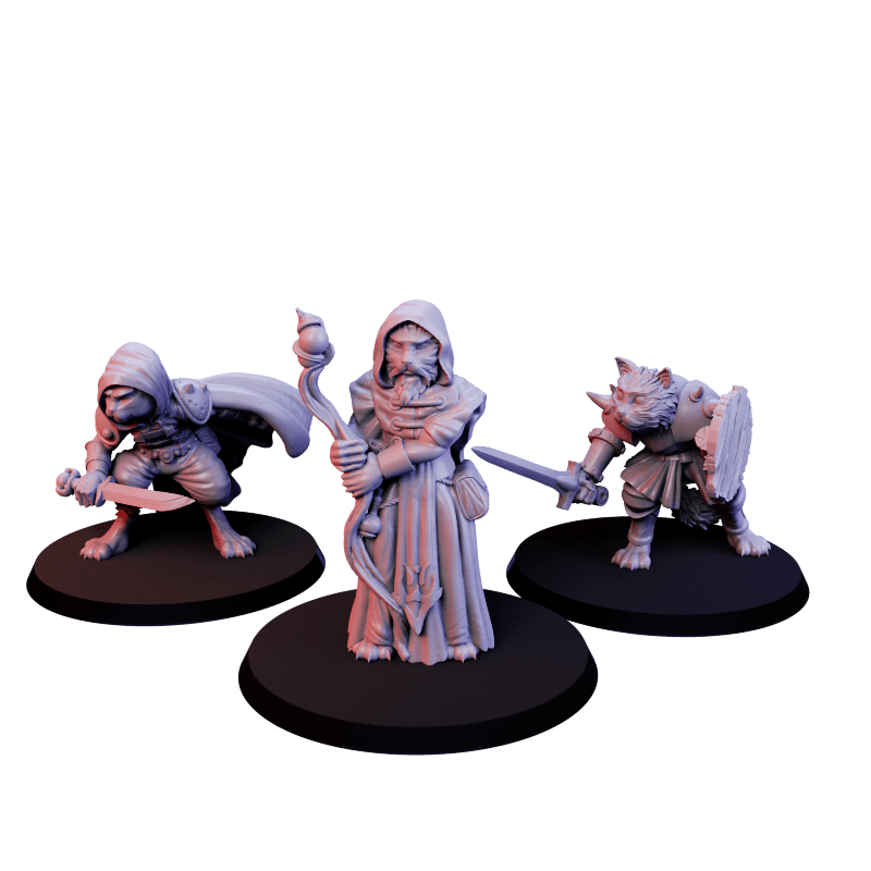 Kocia Banda: Mag, Wojownik i Łotrzyk