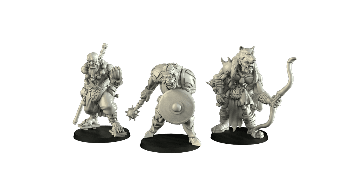 Banda Półorków – Wojownik, Mnich i Łucznik