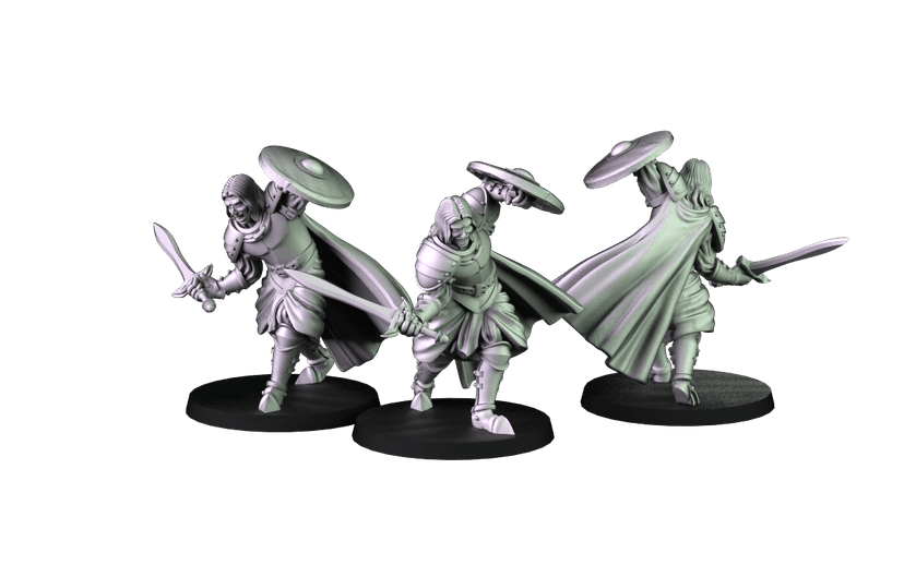 Wojownik z Mieczem i Tarczą