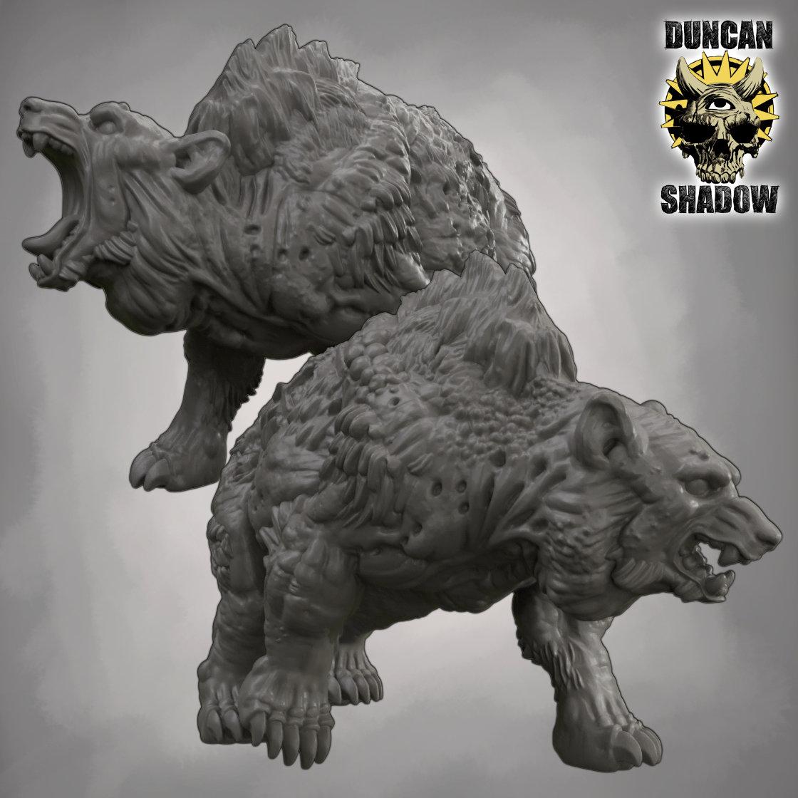 Niedźwiedzie Chaosu