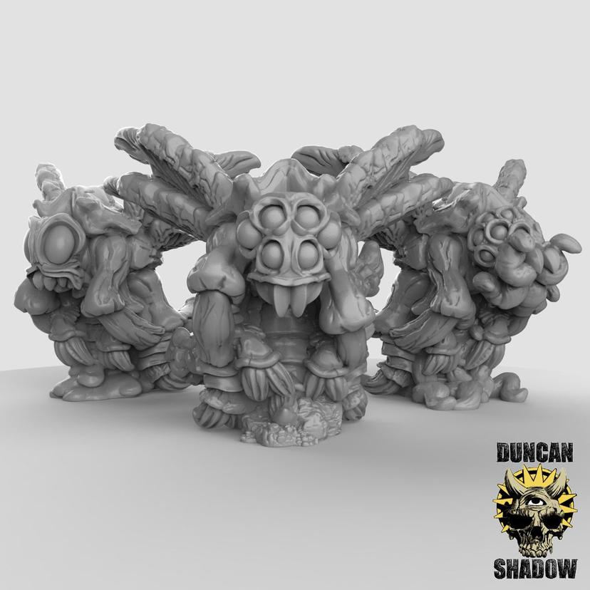 Muchy Zarazy